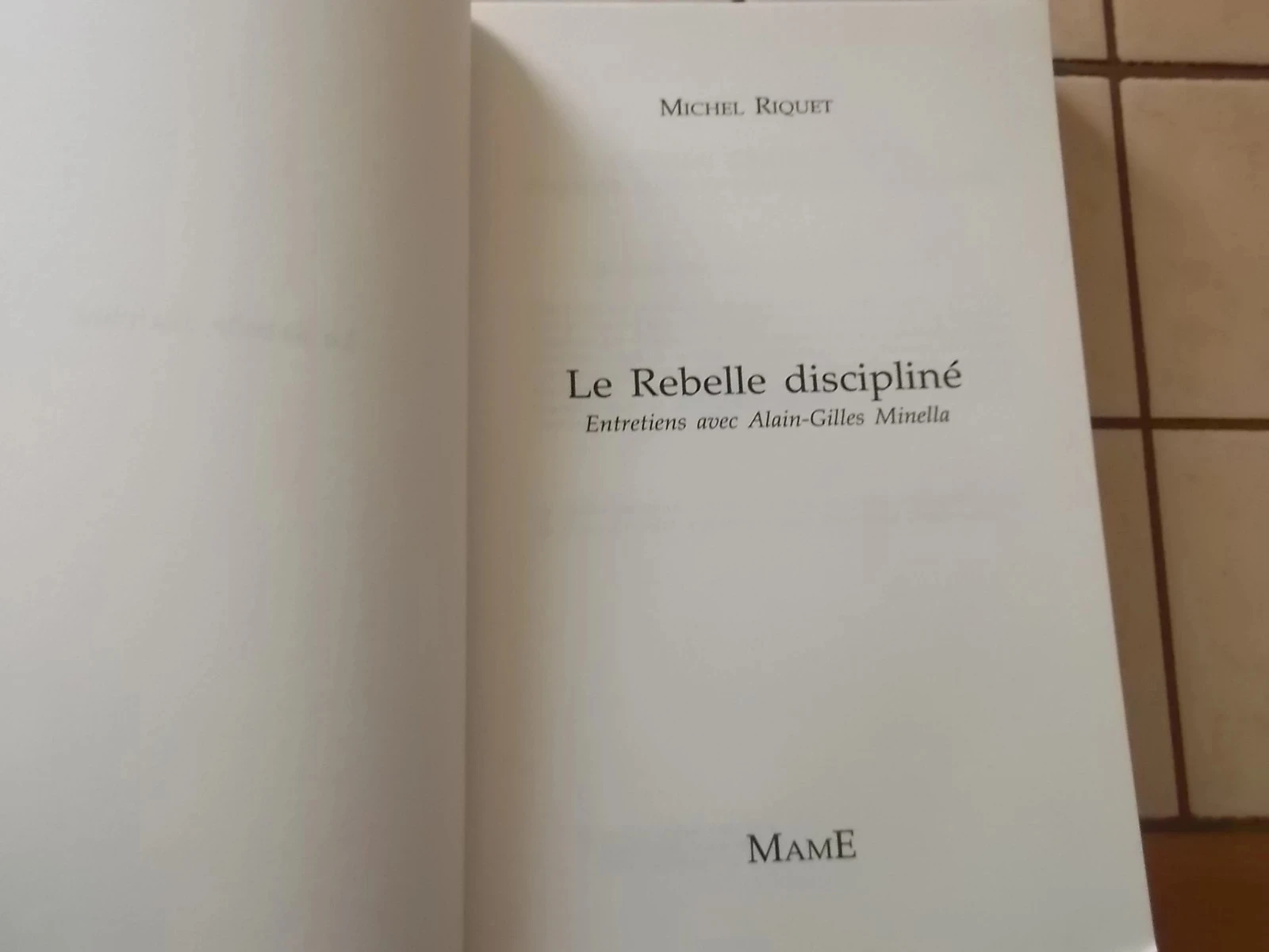 De gedisciplineerde rebel – photo 4